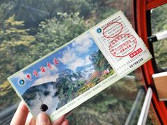 -牛背梁国家森林公园