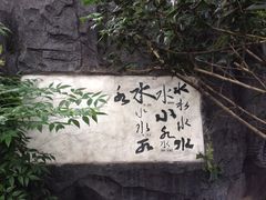 白沙古井-白沙古井