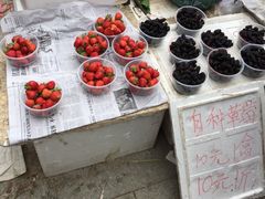 iphone_upload_pic-黄埔古港