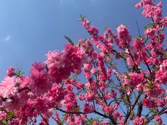 -洋湖国家湿地公园