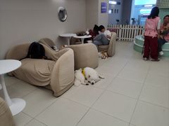 -怪兽屋·羊驼·猫咖·狗咖(俊华广场店)