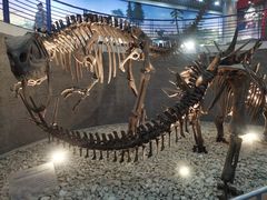 -国家自然博物馆