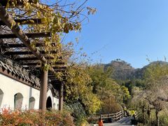 -黄陂区野村谷景区
