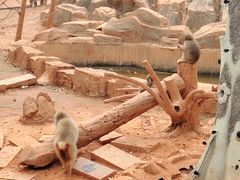 -辛玛王国游乐园