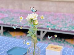 -伊顿幼儿园(济南大地锐城校区)