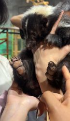 -Zoolung Zoolung动物主题公园(海信广场店)