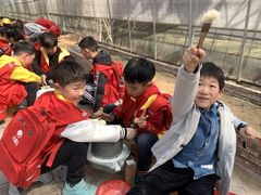 -前小桔亲子创意农场·草莓采摘·露营烧烤