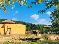 -沈阳森林动物园