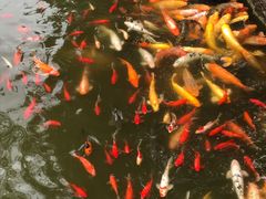 景点-月牙潭公园
