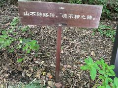 -灵顺寺