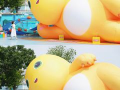 -海合安成都极地海洋公园