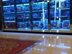 android_upload_pic-UME影城(安贞DTS:X店)