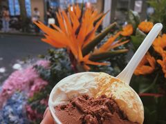-Dip in Gelato(富民路店)