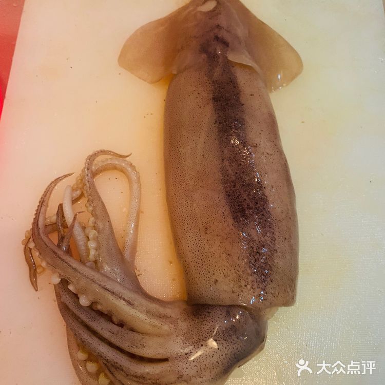 在北京的第一次尝试-彩椒炒鱿鱼