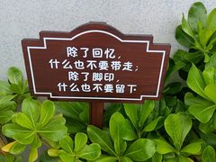 -杨梅坑