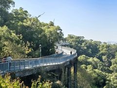 -金鸡山公园