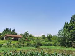 -桤木河湿地公园