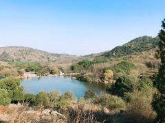 -白马涧龙池景区