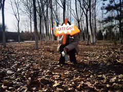 -永定河休闲森林公园