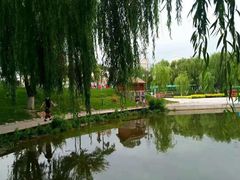 -雁滩公园