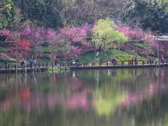 -重庆彩云湖湿地公园