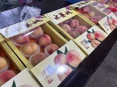 -南汇水蜜桃采摘(大团店)