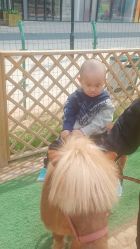 -萌宠亲子动物乐园(槐房万达店)