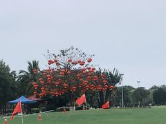 -万绿园
