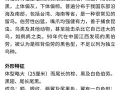 -杭州萧山国际机场