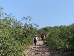 -北京西山国家森林公园