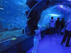 -多彩贵州城极地海洋世界