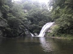 -内乡宝天曼生态旅游区