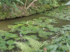 -中国科学院西双版纳热带植物园