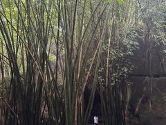 -寻龙山风景旅游区