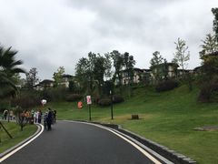 -枫香湖儿童公园