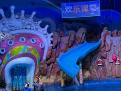 -烟台海昌鲸鲨海洋公园