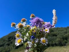 -白草畔自然风景区