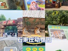-石家庄市动物园