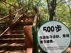 -大岭沟猕猴桃谷风景区