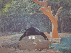 -广州长隆野生动物世界