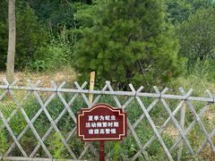 -北京西山国家森林公园