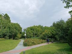 -莲花池公园