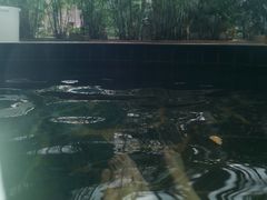 -龙达温泉生态城