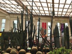 -石家庄市植物园