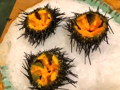 活海胆-万岛日本料理铁板烧(太古里店)