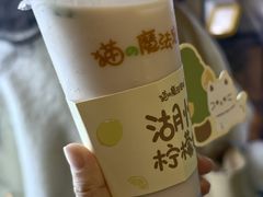 -猫的魔法密林(衣裳街店)