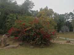 -五缘湾湿地公园