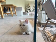 -J Create城市露营咖啡·简餐·宠物(上海动物园店)