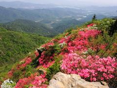 -木兰云雾山