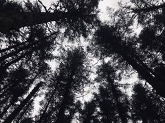 -石棉县孟获城